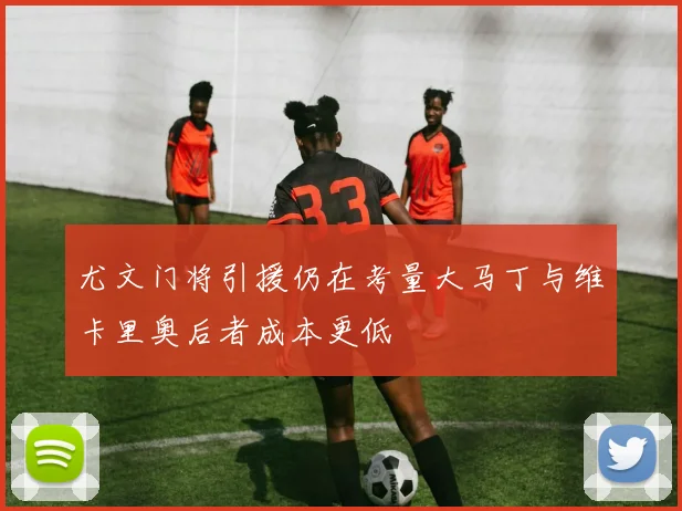 尤文门将引援仍在考量大马丁与维卡里奥后者成本更低